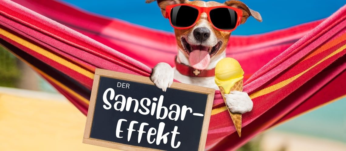 sansibar-effekt-daniel-enz